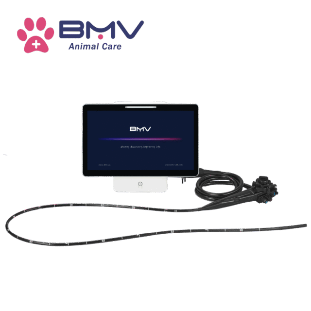 EquiScan™ BVI-36 Multipurpose Veterinary Endoscope